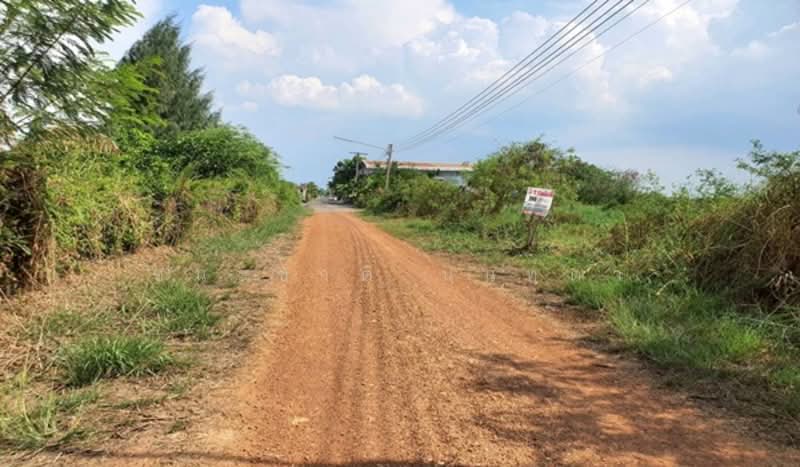 ซอยศาลแม่ทับทิมเจ้าพ่อดอนใหญ่, ปทุมธานี, บึงสนั่น, ธัญบุรี, ปทุมธานี, 400 ตร.ม., ที่ดิน ขาย, โดย ชนะชาติ นนท์ตา, 500308166 - DDproperty.com