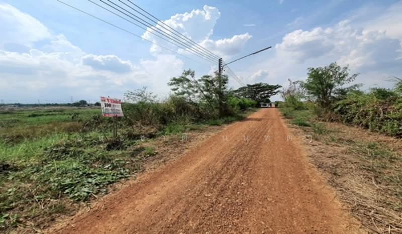 ซอยศาลแม่ทับทิมเจ้าพ่อดอนใหญ่, ปทุมธานี, บึงสนั่น, ธัญบุรี, ปทุมธานี, 400 ตร.ม., ที่ดิน ขาย, โดย ชนะชาติ นนท์ตา, 500308166 - DDproperty.com