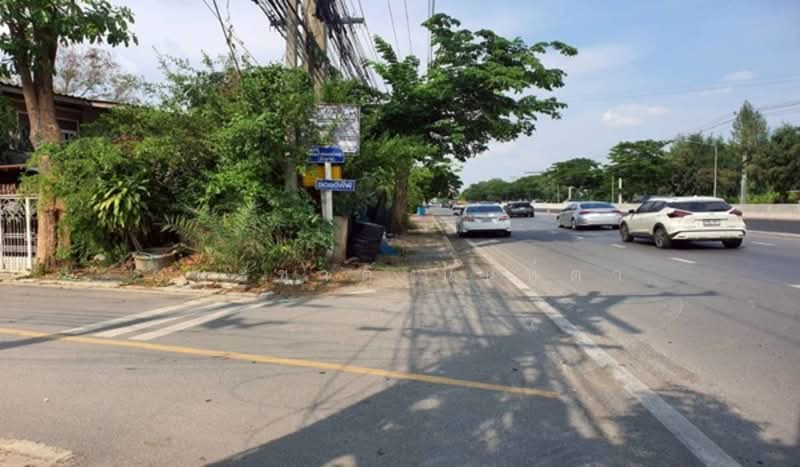 Soi San Mae Thap Thim Chao Pho Don Yai, Pathum Thani, Bung Sanan, Thanyaburi, Pathum Thani, , 400 sqm, Land For Sale, by ชนะชาติ นนท์ตา, 500308166 - DDproperty.com