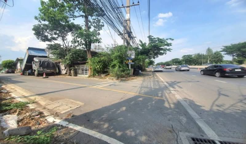 Soi San Mae Thap Thim Chao Pho Don Yai, Pathum Thani, Bung Sanan, Thanyaburi, Pathum Thani, , 400 sqm, Land For Sale, by ชนะชาติ นนท์ตา, 500308166 - DDproperty.com