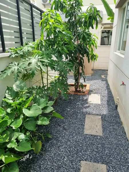 Centro Chaiyaphruek-Chaengwattana, Nonthaburi, Rural Road 2051, Khlong Phra Udom, Pak Kret, Nonthaburi, 4 Bedrooms, 265 sqm, Single Detached House For Rent, by ปรินทร์ญาดา ชิณโชติ, 500308417 - DDproperty.com