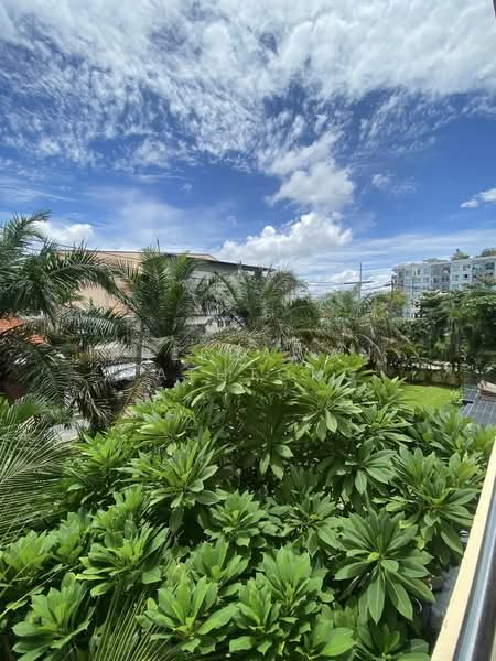 View Talay Residence 5 Pratumnak, Chon Buri (Pattaya), 6 พระตำหนัก, Nong Pru, Bang Lamung (Pattaya), Chon Buri (Pattaya), 1 Bedroom, 99 sqm, Condo For Rent, by Patchara Srisak, 500308530 - DDproperty.com
