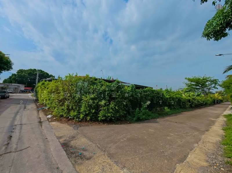 Land for sale 1 rai 2 ngan 86.7 sq.w (686.7 sq.w), Nonthaburi, Bang Khanun, Bang Kruai, Nonthaburi, , 2,744 sqm, Land For Sale, by คุณไทด์, 500308579 - DDproperty.com