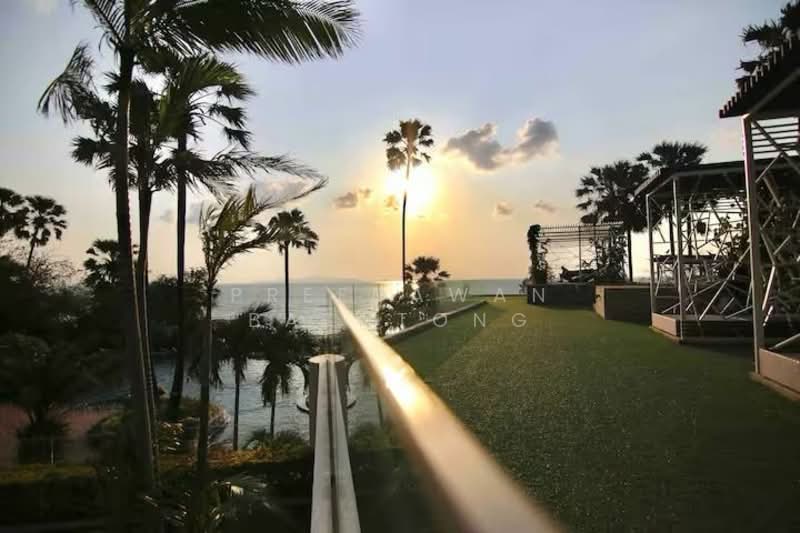 The Palm Wongamat Beach : เดอะ ปาล์ม วงศ์อมาตย์, ชลบุรี, ถนน ซอย นาเกลือ 16, นาเกลือ, บางละมุง, ชลบุรี, 34 ตร.ม., คอนโด ให้เช่า, โดย Patchara Srisak, 500308642 - DDproperty.com