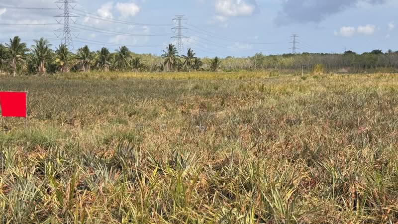 ที่ดินเกาะหลัก ประจวบคีรีขันธ์, Prachuap Khiri Khan, Ko Lak, Muang Prachaubkirikhan, Prachuap Khiri Khan, , 4,040 sqm, Land For Sale, by The Best Property Agent ณรงค์, 500308731 - DDproperty.com