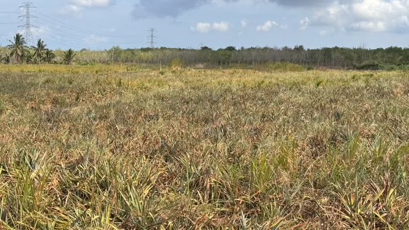 ที่ดินเกาะหลัก ประจวบคีรีขันธ์, Prachuap Khiri Khan, Ko Lak, Muang Prachaubkirikhan, Prachuap Khiri Khan, , 4,040 sqm, Land For Sale, by The Best Property Agent ณรงค์, 500308731 - DDproperty.com