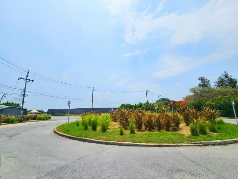 ที่ดินบางบ่อ สมุทรปราการ, Samut Prakan, Ban Rakat, Bang Bo, Samut Prakan, , 1,604 sqm, Land For Sale, by The Best Property Agent มน, 500308820 - DDproperty.com