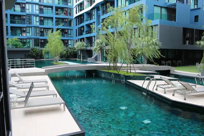 Acqua Condo, Chon Buri (Pattaya), Nong Pru, Bang Lamung (Pattaya), Chon Buri (Pattaya), 1 Bedroom, 41 sqm, Condo For Rent, by Supitsara  Sangarun, 500308891 - DDproperty.com