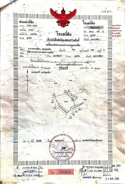 ขายที่ดินเปล่า 2 ไร่ 0 งาน 8 ตร.ว. ติดถนน 2 ด้าน ถนนคอนกรีต ห่างจากถนนยุทธศาสตร์เพียง 200 เมตร ( เจ้, Nakhon Ratchasima, Sung Noen, Nakhon Ratchasima, , 3,232 sqm, Land For Sale, by คุณ จุล, 500309109 - DDproperty.com