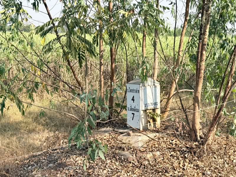 ที่ดินประโคนชัย บุรีรัมย์, Buri Ram, Chorakhe Mak, Prakhon Chai, Buri Ram, , 45,828 sqm, Land For Sale, by The Best Property ยุ, 500309178 - DDproperty.com