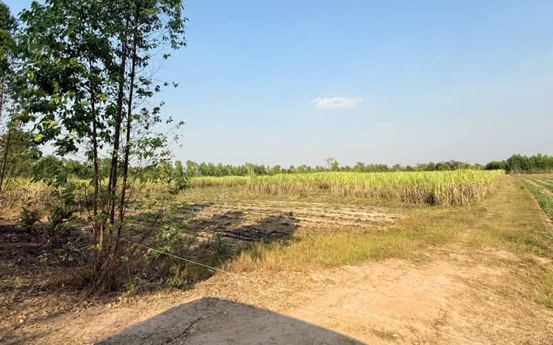 ที่ดินประโคนชัย บุรีรัมย์, Buri Ram, Chorakhe Mak, Prakhon Chai, Buri Ram, , 45,828 sqm, Land For Sale, by The Best Property ยุ, 500309178 - DDproperty.com