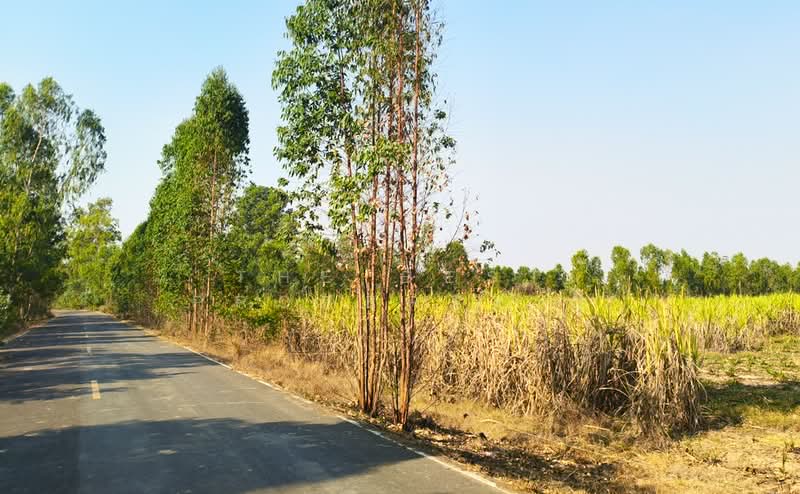 ที่ดินประโคนชัย บุรีรัมย์, Buri Ram, Chorakhe Mak, Prakhon Chai, Buri Ram, , 45,828 sqm, Land For Sale, by The Best Property ยุ, 500309178 - DDproperty.com