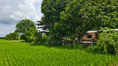 ขาย - ที่ดินดอนเจดีย์ สุพรรณบุรี, สุพรรณบุรี