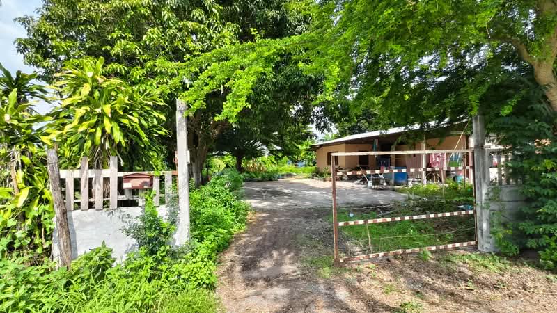 ที่ดินดอนเจดีย์ สุพรรณบุรี, Suphan Buri, Nong Sarai, Don Chedi, Suphan Buri, , 4,400 sqm, Land For Sale, by The Best Property Agent ลี, 500309239 - DDproperty.com