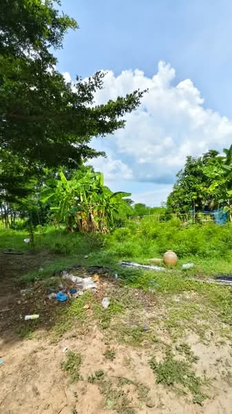 ที่ดินดอนเจดีย์ สุพรรณบุรี, Suphan Buri, Nong Sarai, Don Chedi, Suphan Buri, , 4,400 sqm, Land For Sale, by The Best Property Agent ลี, 500309239 - DDproperty.com