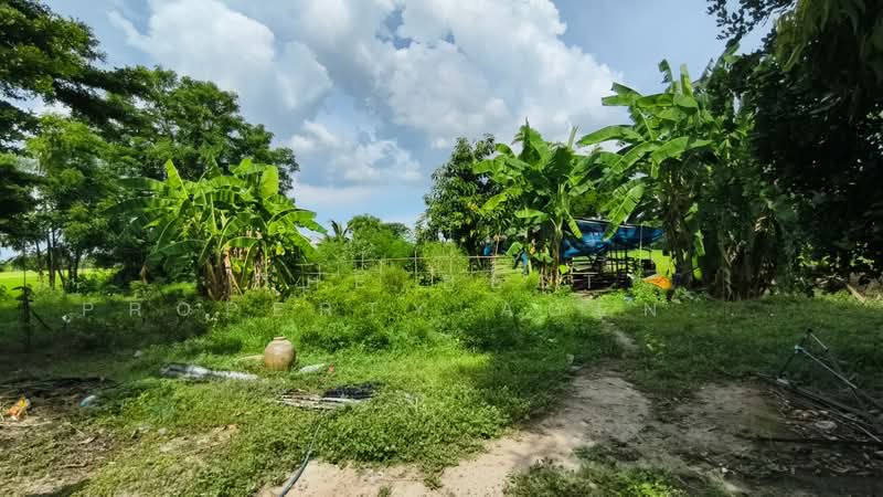 ที่ดินดอนเจดีย์ สุพรรณบุรี, Suphan Buri, Nong Sarai, Don Chedi, Suphan Buri, , 4,400 sqm, Land For Sale, by The Best Property Agent ลี, 500309239 - DDproperty.com