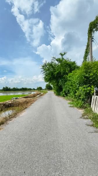 ที่ดินดอนเจดีย์ สุพรรณบุรี, สุพรรณบุรี, หนองสาหร่าย, ดอนเจดีย์, สุพรรณบุรี, 4,400 ตร.ม., ที่ดิน ขาย, โดย The Best Property Agent ลี, 500309239 - DDproperty.com