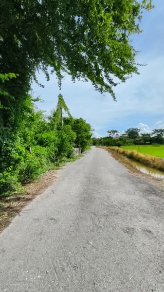 ที่ดินดอนเจดีย์ สุพรรณบุรี, Suphan Buri, Nong Sarai, Don Chedi, Suphan Buri, , 4,400 sqm, Land For Sale, by The Best Property Agent ลี, 500309239 - DDproperty.com