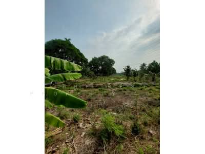 ขาย - ที่ดินบ้านเกาะ สมุทรสาคร, สมุทรสาคร