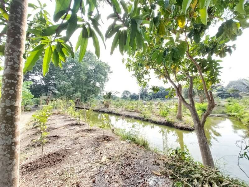 ที่ดินบ้านเกาะ สมุทรสาคร, Samut Sakhon, Ban Ko, Muang Samut Sakhon, Samut Sakhon, , 15,728 sqm, Land For Sale, by The Best Property Agent ปู, 500309310 - DDproperty.com