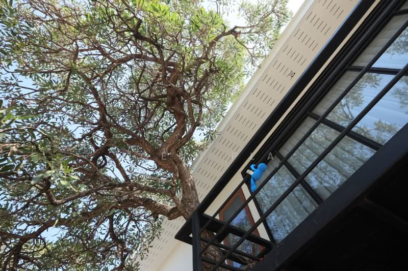 Modern-Japanese Style House for Rent in Chokchai 4 Area (SPSAD3988), Bangkok, Lat Phrao, Bangkok, 2 Bedrooms, 350 sqm, Single Detached House For Rent, by Agent Pla, 500309336 - DDproperty.com