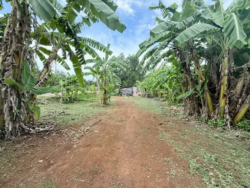 ที่ดินท่าใหม่ จันทบุรี, จันทบุรี, เขาวัว, ท่าใหม่, จันทบุรี, 2,316 ตร.ม., ที่ดิน ขาย, โดย The Best Property เมญ่า, 500309380 - DDproperty.com