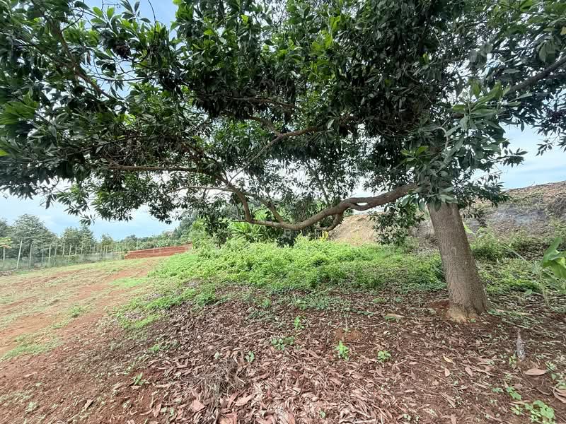 ที่ดินท่าใหม่ จันทบุรี, จันทบุรี, เขาวัว, ท่าใหม่, จันทบุรี, 2,316 ตร.ม., ที่ดิน ขาย, โดย The Best Property เมญ่า, 500309380 - DDproperty.com