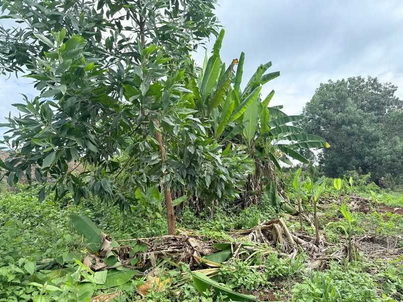 ที่ดินท่าใหม่ จันทบุรี, Chanthaburi, Khao Wua, Tha Mai, Chanthaburi, , 2,316 sqm, Land For Sale, by The Best Property เมญ่า, 500309380 - DDproperty.com