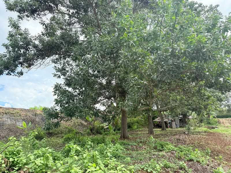 ที่ดินท่าใหม่ จันทบุรี, Chanthaburi, Khao Wua, Tha Mai, Chanthaburi, , 2,316 sqm, Land For Sale, by The Best Property เมญ่า, 500309380 - DDproperty.com