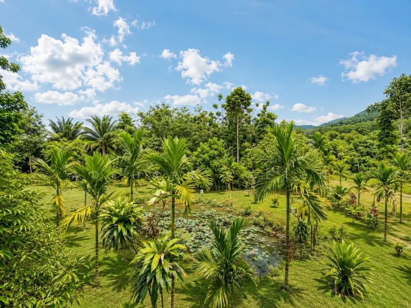 บ้านสวนเงียบสงบ คลองสน กระบี่, Krabi, กระบี่, หนองทะเล, เมืองกระบี่, กระบี่, 100 ตร.ม., บ้านเดี่ยว ให้เช่า, โดย Adchara Voeten, 500309420 - DDproperty.com