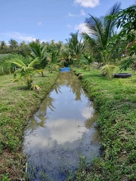 2-BR House, Prachuap Khiri Khan, Chaikasam, Bang Saphan, Prachuap Khiri Khan, 2 Bedrooms, 128 sqm, Single Detached House For Sale, by Chama Kamkaew, 500309453 - DDproperty.com