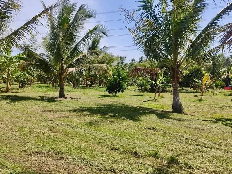 บ้าน 2-ห้องนอน, ประจวบคีรีขันธ์, ชัยเกษม, บางสะพาน, ประจวบคีรีขันธ์, 128 ตร.ม., บ้านเดี่ยว ขาย, โดย Chama Kamkaew, 500309453 - DDproperty.com
