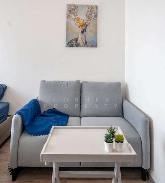 Knightsbridge Prime Onnut, Bangkok, Soi On Nut 1/1 Sukhumvit Road77, Phra Kanong Nua, Watthana, Bangkok, 1 Bedroom, 22 sqm, Condo For Rent, by Connex Property, 500309504 - DDproperty.com