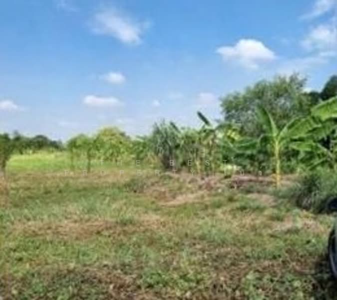 ที่ดินสามโคก ปทุมธานี, Pathum Thani, Ban Pa-thum, Sam Khok, Pathum Thani, , 7,832 sqm, Land For Sale, by The Best Property โบว์, 500309543 - DDproperty.com