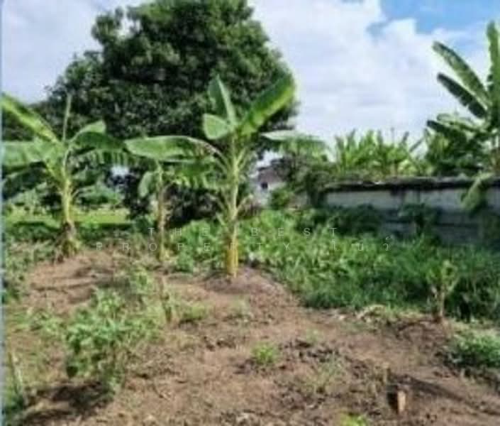 ที่ดินสามโคก ปทุมธานี, Pathum Thani, Ban Pa-thum, Sam Khok, Pathum Thani, , 7,832 sqm, Land For Sale, by The Best Property โบว์, 500309543 - DDproperty.com