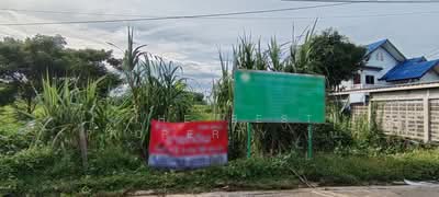 ขาย - ที่ดินสามโคก ปทุมธานี, ปทุมธานี