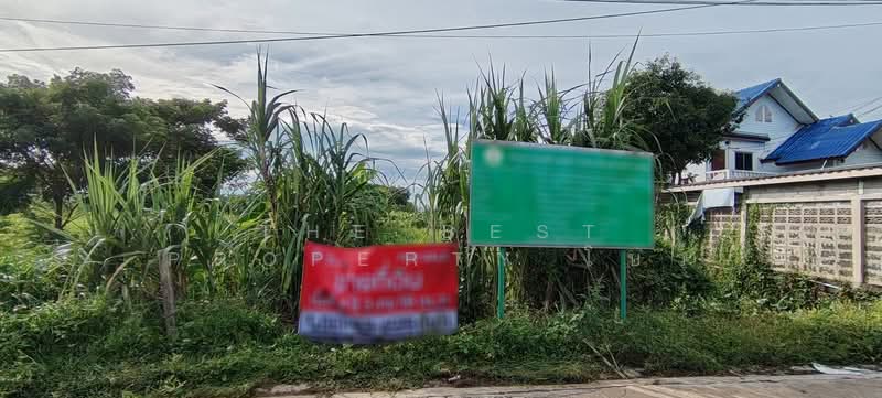 ที่ดินสามโคก ปทุมธานี, Pathum Thani, Ban Pa-thum, Sam Khok, Pathum Thani, , 7,832 sqm, Land For Sale, by The Best Property โบว์, 500309543 - DDproperty.com