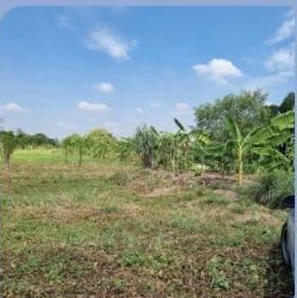 ที่ดินสามโคก ปทุมธานี, Pathum Thani, Ban Pa-thum, Sam Khok, Pathum Thani, , 7,832 sqm, Land For Sale, by The Best Property โบว์, 500309543 - DDproperty.com