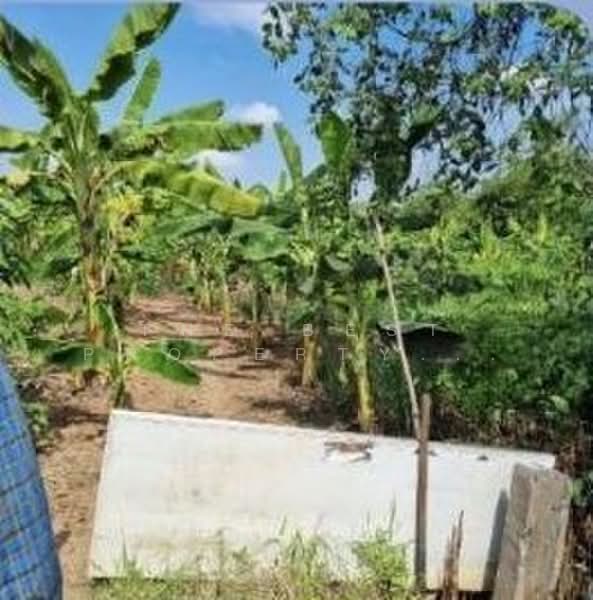 ที่ดินสามโคก ปทุมธานี, ปทุมธานี, บ้านปทุม, สามโคก, ปทุมธานี, 7,832 ตร.ม., ที่ดิน ขาย, โดย The Best Property โบว์, 500309543 - DDproperty.com