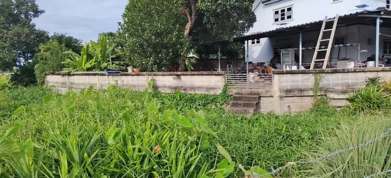 ที่ดินสามโคก ปทุมธานี, ปทุมธานี, บ้านปทุม, สามโคก, ปทุมธานี, 7,832 ตร.ม., ที่ดิน ขาย, โดย The Best Property โบว์, 500309543 - DDproperty.com