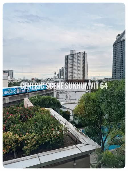 Centric Scene Sukhumvit 64 : เซ็นทริค ซีน สุขุมวิท 64, กรุงเทพ, - ซอยสุขุมวิท 64, บางนา, บางนา, กรุงเทพ, 40 ตร.ม., คอนโด ให้เช่า, โดย Hathairat Rookphan , 500309597 - DDproperty.com