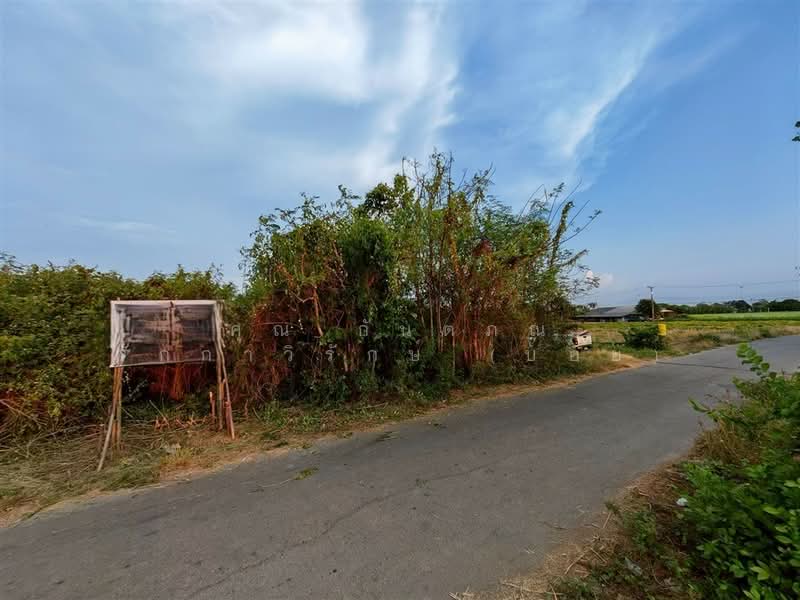 ที่ดินเปล่า 2 ไร่ 2.4 ตร.ว. ที่ดิน ใกล้องค์การบริหารส่วนตำบลบ้านยาง นครปฐม, นครปฐม, ถนนทางหลวงพิเศษหมายเลข 81, บ้านยาง, เมืองนครปฐม, นครปฐม, 3,208 ตร.ม., ที่ดิน ขาย, โดย คุณ กันตภณ จักกาวิรักษ์ (บอย), 500309634 - DDproperty.com