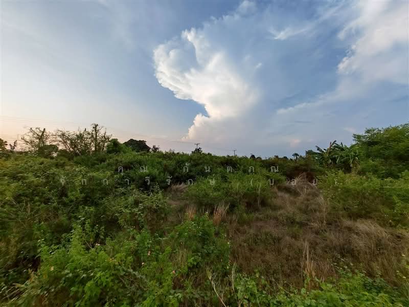 ที่ดินเปล่า 2 ไร่ 2.4 ตร.ว. ที่ดิน ใกล้องค์การบริหารส่วนตำบลบ้านยาง นครปฐม, นครปฐม, ถนนทางหลวงพิเศษหมายเลข 81, บ้านยาง, เมืองนครปฐม, นครปฐม, 3,208 ตร.ม., ที่ดิน ขาย, โดย คุณ กันตภณ จักกาวิรักษ์ (บอย), 500309634 - DDproperty.com