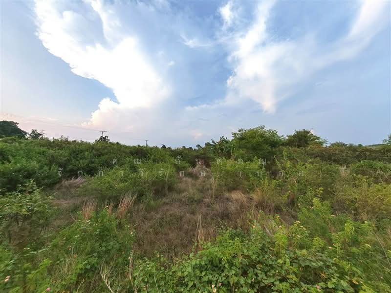 ที่ดินเปล่า 2 ไร่ 2.4 ตร.ว. ที่ดิน ใกล้องค์การบริหารส่วนตำบลบ้านยาง นครปฐม, Nakhon Pathom, ถนนทางหลวงพิเศษหมายเลข 81, Ban Yang, Muang Nakhon Pathom, Nakhon Pathom, , 3,208 sqm, Land For Sale, by คุณ กันตภณ จักกาวิรักษ์ (บอย), 500309634 - DDproperty.com