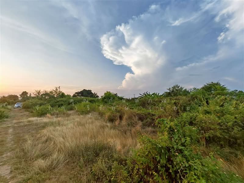 ที่ดินเปล่า 2 ไร่ 2.4 ตร.ว. ที่ดิน ใกล้องค์การบริหารส่วนตำบลบ้านยาง นครปฐม, Nakhon Pathom, ถนนทางหลวงพิเศษหมายเลข 81, Ban Yang, Muang Nakhon Pathom, Nakhon Pathom, , 3,208 sqm, Land For Sale, by คุณ กันตภณ จักกาวิรักษ์ (บอย), 500309634 - DDproperty.com