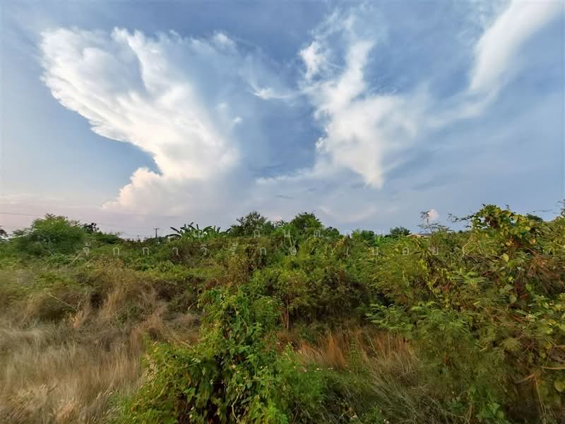 ที่ดินเปล่า 2 ไร่ 2.4 ตร.ว. ที่ดิน ใกล้องค์การบริหารส่วนตำบลบ้านยาง นครปฐม, Nakhon Pathom, ถนนทางหลวงพิเศษหมายเลข 81, Ban Yang, Muang Nakhon Pathom, Nakhon Pathom, , 3,208 sqm, Land For Sale, by คุณ กันตภณ จักกาวิรักษ์ (บอย), 500309634 - DDproperty.com