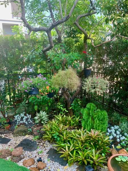 Perfect Place Sukhumvit 77-Suvarnabhumi, Samut Prakan, Lat Krabang Road, Rachathewa, Bang Plee, Samut Prakan, 3 Bedrooms, 200 sqm, Single Detached House For Rent, by Vinai  Wattana, 500309694 - DDproperty.com