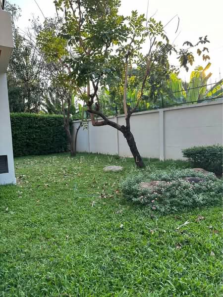 บ้าน 6-ห้องนอน, กรุงเทพ, สวนหลวง, กรุงเทพ, 650 ตร.ม., บ้านเดี่ยว ให้เช่า, โดย Pitchocha Kiatsinpon, 500309722 - DDproperty.com