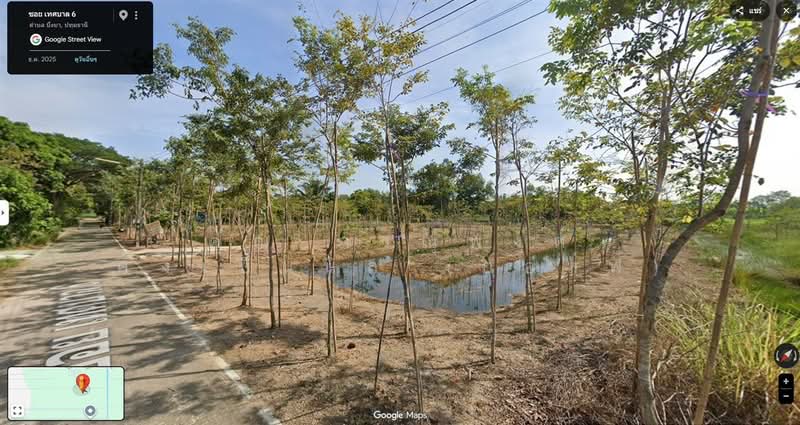 ที่ดินเปล่า 3 ไร่ ที่ดิน ใกล้การไฟฟ้าส่วนภูมิภาคหนองเสือ ซอยเทศบาล6, Pathum Thani, ถนนรังสิต-นครนายก, Bung Ba, Nong Sua, Pathum Thani, , 4,800 sqm, Land For Sale, by คุณ ภาณุพงศ์ คงเป็นนิล (กอล์ฟ), 500309772 - DDproperty.com