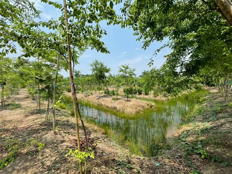 ที่ดินเปล่า 3 ไร่ ที่ดิน ใกล้การไฟฟ้าส่วนภูมิภาคหนองเสือ ซอยเทศบาล6, ปทุมธานี, ถนนรังสิต-นครนายก, บึงบา, หนองเสือ, ปทุมธานี, 4,800 ตร.ม., ที่ดิน ขาย, โดย คุณ ภาณุพงศ์ คงเป็นนิล (กอล์ฟ), 500309772 - DDproperty.com